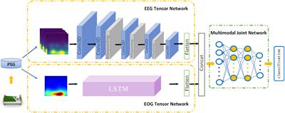 A Novel Sleep Staging Network Based on Data Adaptation and Multimodal Fusion
